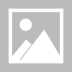 国产门事件,揭秘我国汽车行业质量危机与反思